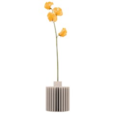 The Biodegradable Flower Vase - #002 White Sandstone